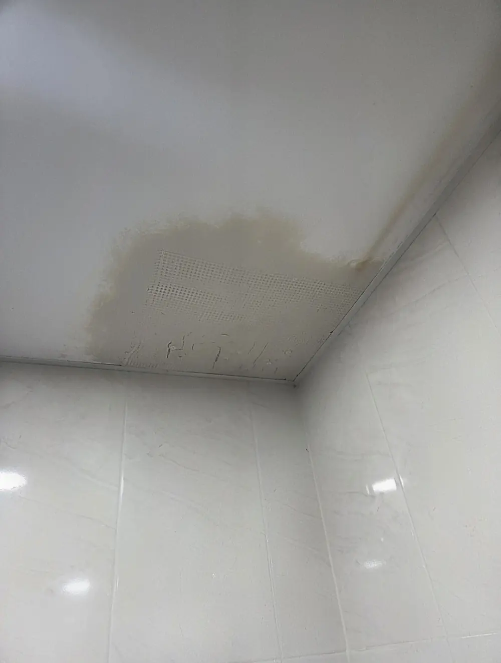 누수탐지가 필요한 점검구 주변 얼룩